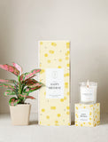 Plant next to gift box and candle. - Image 