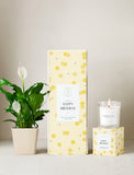 Plant next to gift box and candle. - Image 