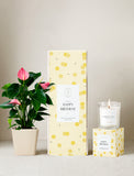 Plant next to gift box and candle. - Image 