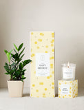 Plant next to gift box and candle. - Image 