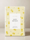 Succulents in gift box. - Image 