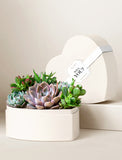 Heart-shaped cream gift box filled with a variety of vibrant green and purple succulents, featuring a Will You? gift tag. - Image 