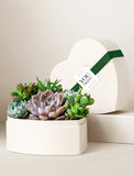 Heart-shaped gift box filled with a variety of vibrant green and purple succulents, accented with a green ribbon and gift tag. - Image 