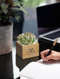 A small potted succulent in a light wood box with a mountain logo and the words 'VENTURE MEDIA' sits on a desk next to a laptop and a person writing in a notebook. - Image 