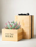 A small potted succulent in a light natural wood planter box with the text 'your logo HERE' on the front, next to a larger matching wooden gift box tied with a black ribbon, on a light neutral background. - Image 