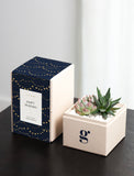 A gift set featuring a cream-colored square box with a navy blue lid decorated with gold stars and the words 'Happy Birthday' on the front, alongside a matching cream-colored planter box containing a small succulent plant. - Image 