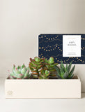 A rectangular cream-colored succulent planter box containing three green succulent plants, shown in front of its branded navy blue and gold holiday gift box labeled 'Happy Holidays' by Lula's Garden. - Image 
