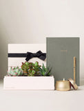 A styled gift set featuring a white box of succulents with a black ribbon, a sage green notebook with gold lettering, a gold pen, and a gold candle, arranged on a light beige surface against a neutral background. - Image 