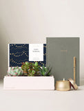 A curated gift set from Lula's  Garden featuring a beige succulent planter box with green plants, a navy blue 'Happy Holidays' sleeve with gold string lights, a sage green notebook with gold foil lettering, a gold pen, and a gold candle. - Image 