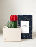 A holiday-themed gift set by Lula's Garden, featuring a cream-colored box with a gold monogram logo, a navy blue box with gold string lights pattern, and a small potted cactus. - Image 