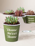 Succulents in mini cups with an occasion. - Image 