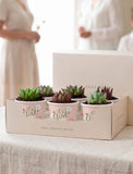 Succulents in mini cups with an occasion. - Image 