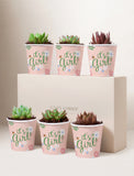 Succulents in mini cups with an occasion. - Image 