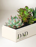 Vibrant succulents in a cream-colored gift box labeled DAD for Father's Day. - Image 