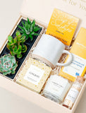 Congrats gift box featuring three succulents, a ceramic mug, herbal tea, artisan chocolate, a vanilla candle, and matches. - Image 