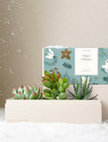 Holiday Jewel Garden - Image 