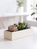 A rectangular cream-colored planter box by Lucas Garden containing a small arrangement of green and pinkish succulents, set on a white table in a bright, softly blurred indoor setting. - Image 