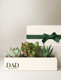 Assorted succulents in a cream-colored gift box labeled DAD with a green ribbon, perfect for Father's Day. - Image 