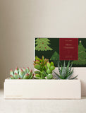 Christmas Jewel Garden - Image 