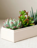 Christmas Jewel Garden - Image 