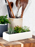 Succulents in gift box. - Image 