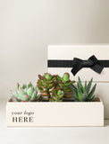 A cream-colored wooden planter box containing three different succulent plants, positioned in front of a matching cream gift box with a black ribbon and bow. The front of the planter box has placeholder text that reads 'your logo HERE'. - Image 