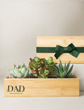 Three assorted succulents in a bamboo planter box engraved with DAD and a green ribbon gift topper. - Image 