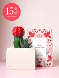Succulents in gift box. - Image 
