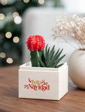 Succulents in gift box. - Image 