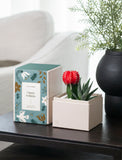 Holiday Joy Garden - Image 