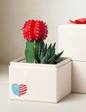 Red moon cactus and green succulent in a white gift box decorated with a patriotic American flag heart. - Image 