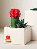 Succulents in gift box. - Image 