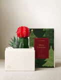Christmas Joy Garden - Image 