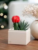 Christmas Joy Garden - Image 