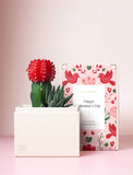 Succulents in gift box. - Image 