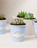Succulents in mini cups with an occasion. - Image 