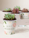Succulents in mini cups with an occasion. - Image 