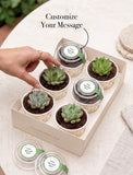 Succulents in mini cups with an occasion. - Image 