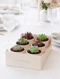 Succulents in mini cups with an occasion. - Image 