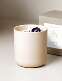 Succulents in gift box. - Image 