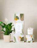 Plant next to gift box and candle. - Image 