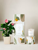 Plant next to gift box and candle. - Image 