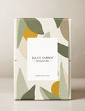 Succulents in gift box. - Image 