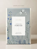 Succulents in gift box. - Image 