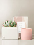 Pink candle, succulent plant, and gift box with 'I Love You' card on a neutral background - Image 