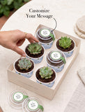 Succulents in mini cups with an occasion. - Image 