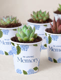 Succulents in mini cups with an occasion. - Image 