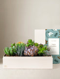 Holiday Lush Garden - Image 