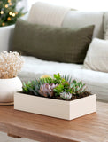 Christmas Lush Garden - Image 