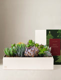 Christmas Lush Garden - Image 